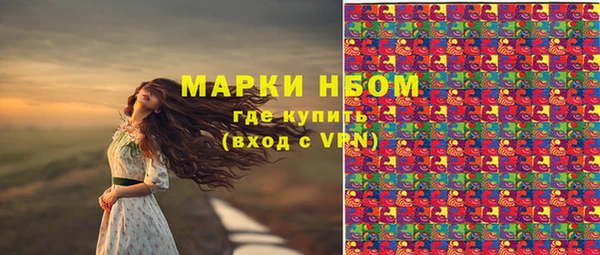 дживик Баксан