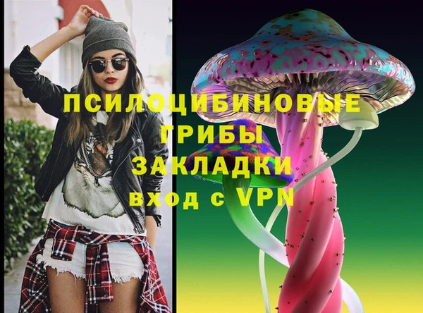 дживик Баксан
